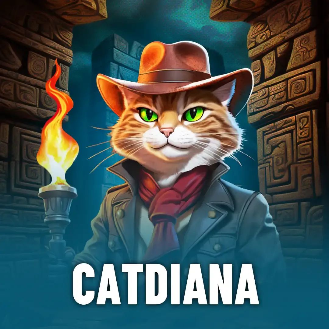 betlive